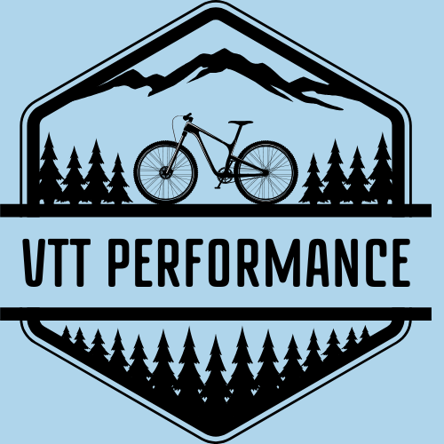Logo VTT Performance